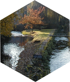 Spontin - Le ruisseau du Bocq et la Rimouille